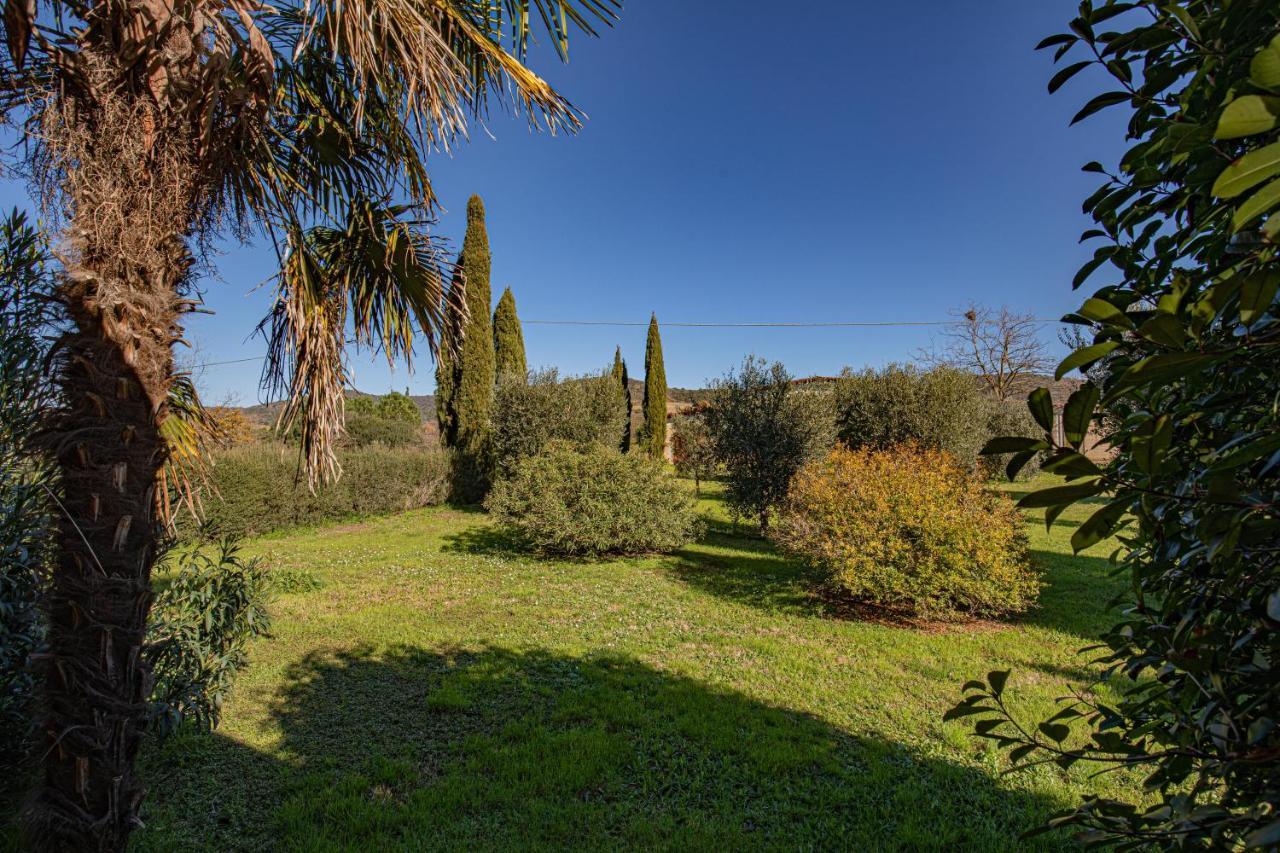 Affitti Brevi Toscana - A Due Passi Dal Mare Мальяно-ін-Тоскана Екстер'єр фото